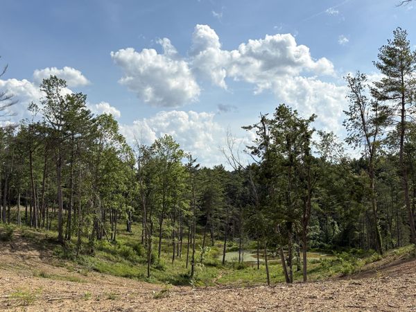 Rt 20/ Gravely Pt., Pipestem, WV 25979