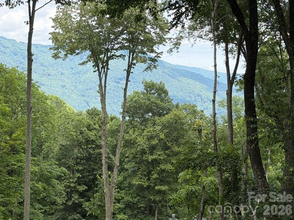 0 Gadohi Trail , Maggie Valley, NC 28751