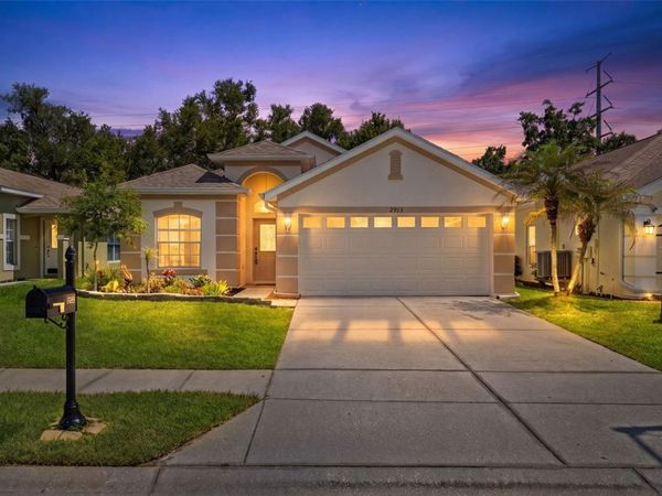 2913 BANYAN HILL LANE , LAND O LAKES, FL 34639