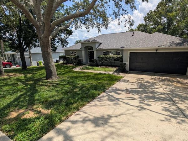 1306 WINDY BLUFF DRIVE , MINNEOLA, FL 34715