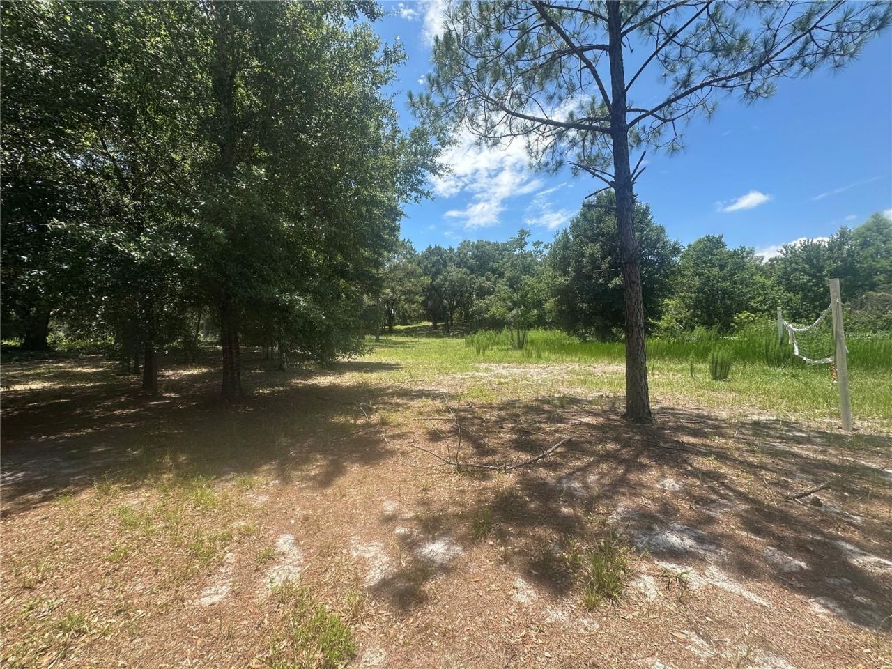 Lazy Acres Lane, Longwood, FL 32750 Photo