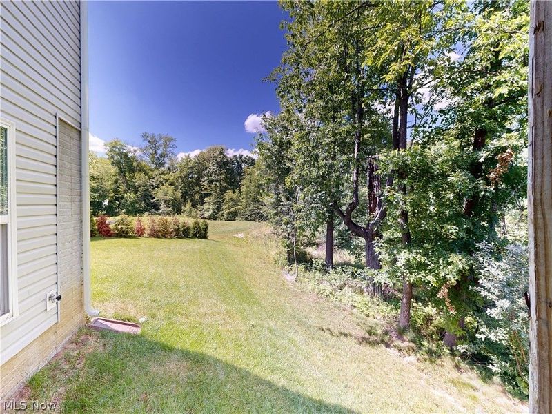 1223 Selena Grove, Green, OH 44685 Photo 49