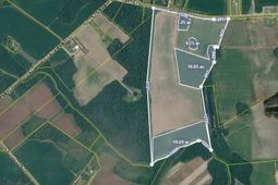 1002 Sam Lee Rd.  photo 4