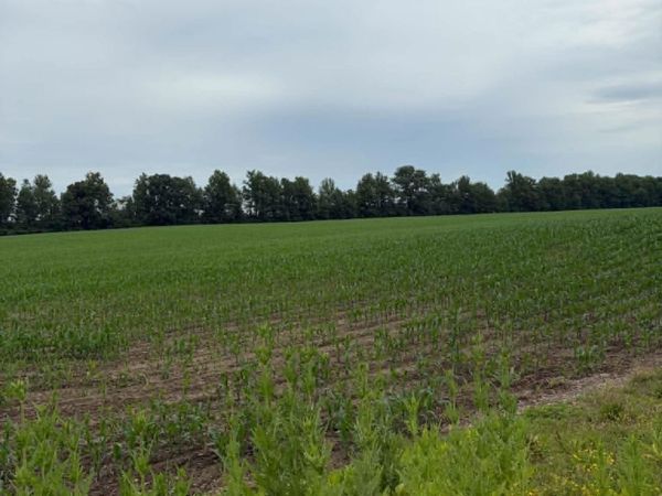 8501 Decatur Road, Fort Wayne, IN 46816