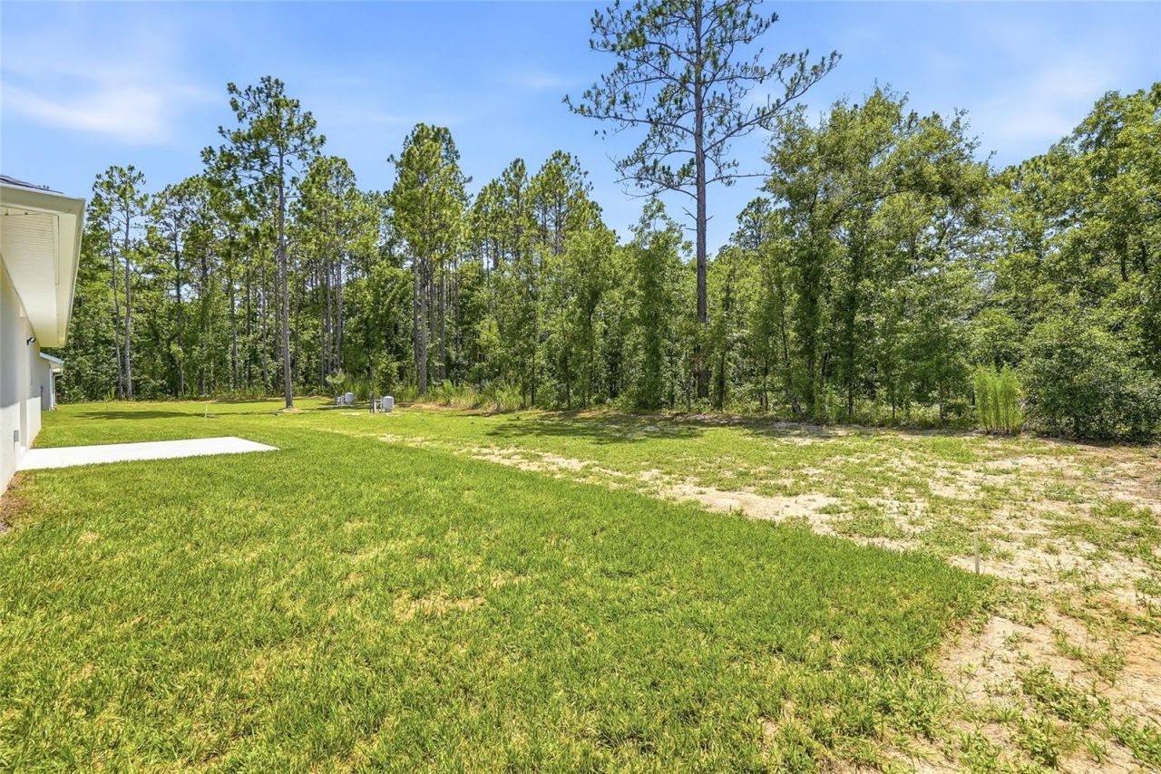 16335 Force Road , Weeki Wachee, FL 34614 Photo