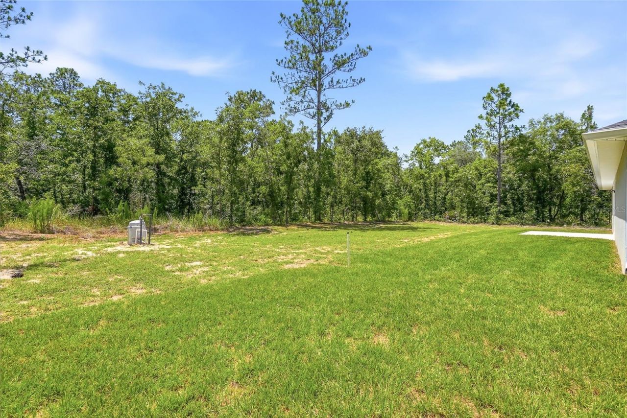 16335 Force Road , Weeki Wachee, FL 34614 Photo