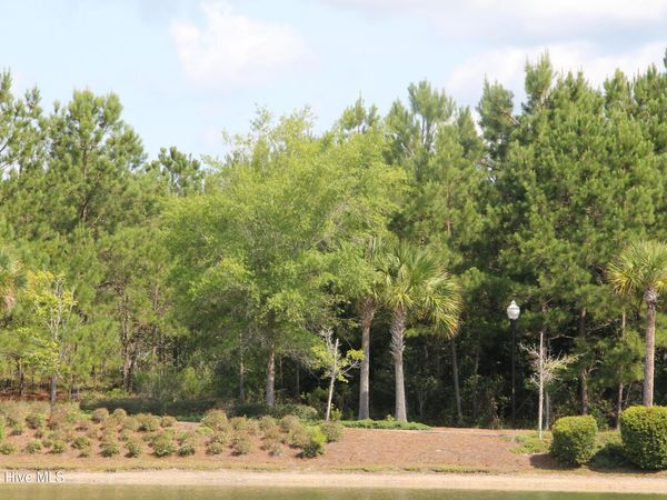 3294 Arundul Hill SW, Shallotte, NC 28470