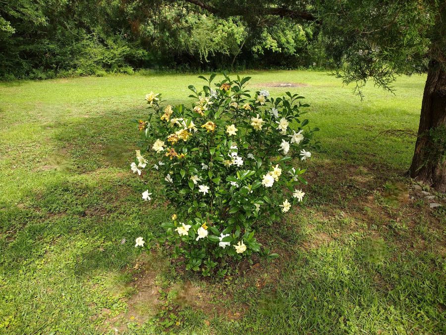 Property Image 27