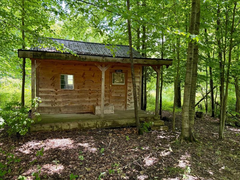 7828 Township Road 83 , Bellville, OH 44813 Photo 28