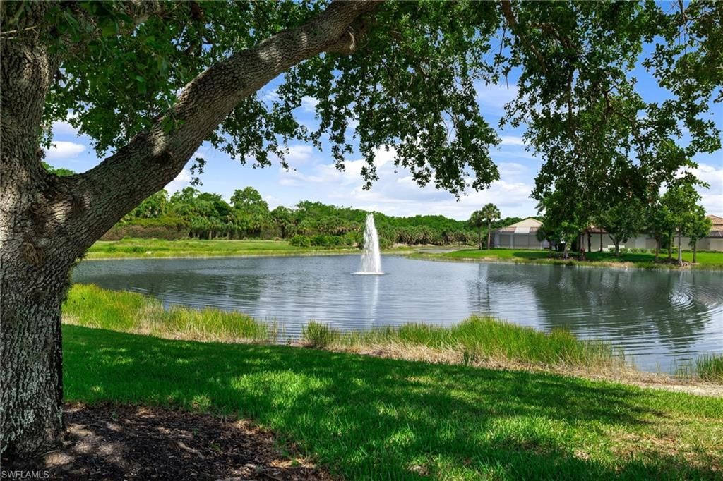 17819 Modena Rd , Miromar Lakes, FL 33913 Photo