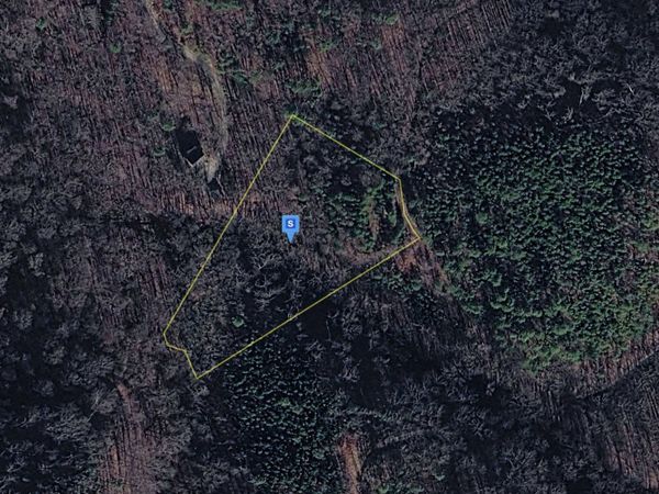 1040 Old River Rd , Walland, TN 37886