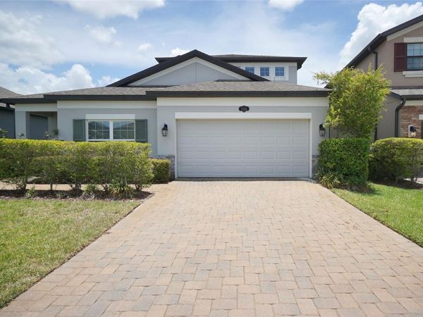 19460 BLOSSOM VINE LANE , LUTZ, FL 33558