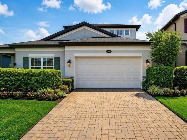 19460 BLOSSOM VINE LANE, LUTZ, FL 33558
