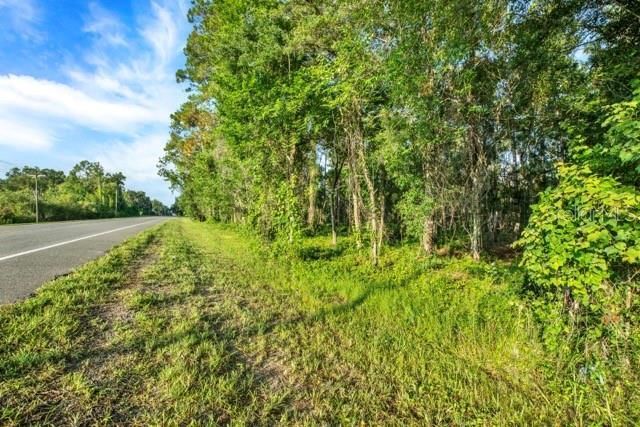 0 Treiman Boulevard , Webster, FL 33597 Photo