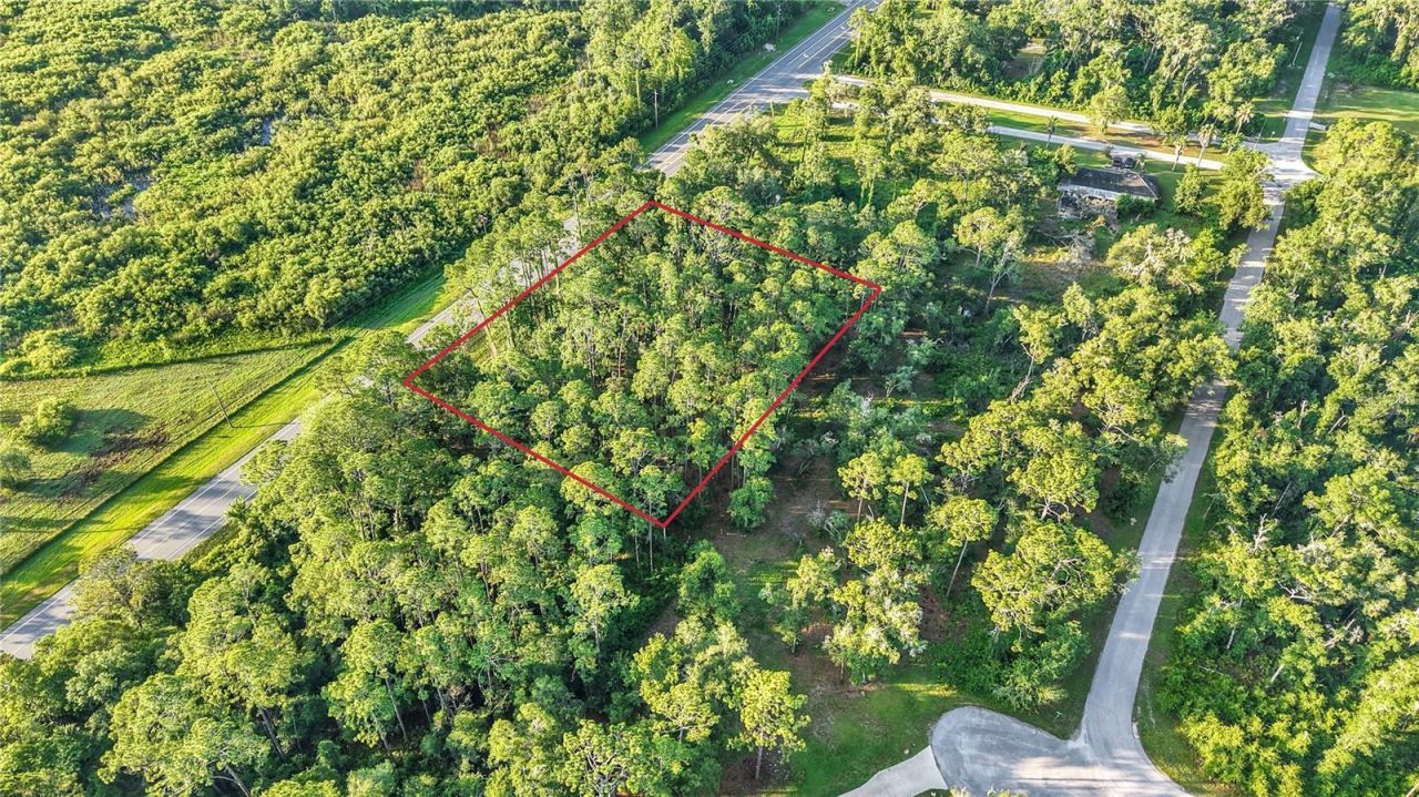 0 Treiman Boulevard , Webster, FL 33597 Photo