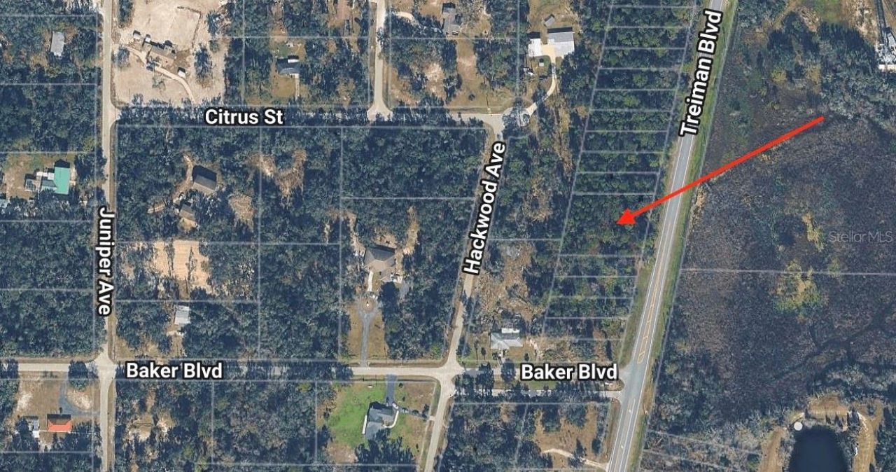 0 Treiman Boulevard , Webster, FL 33597 Photo