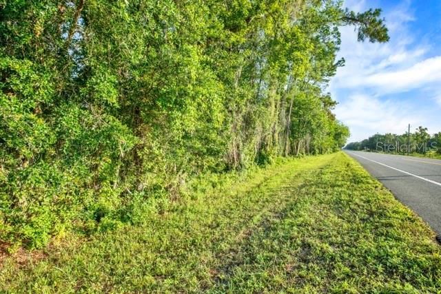 0 Treiman Boulevard , Webster, FL 33597 Photo
