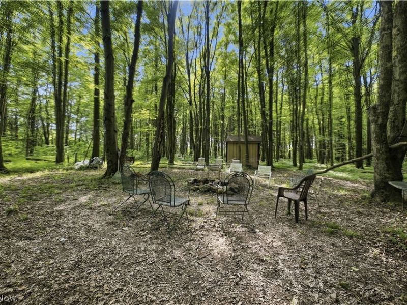 461 S Salem Warren Road, North Jackson, OH 44451 Photo 24