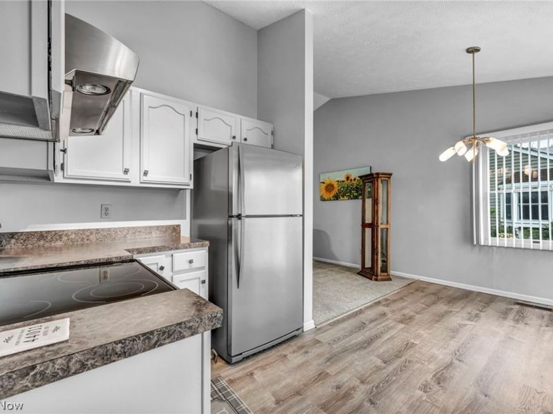 37057 N Doovy Street, Avon, OH 44011 Photo 19