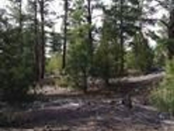 13 Tract 2 Costilla Place , Alamosa, CO 81101