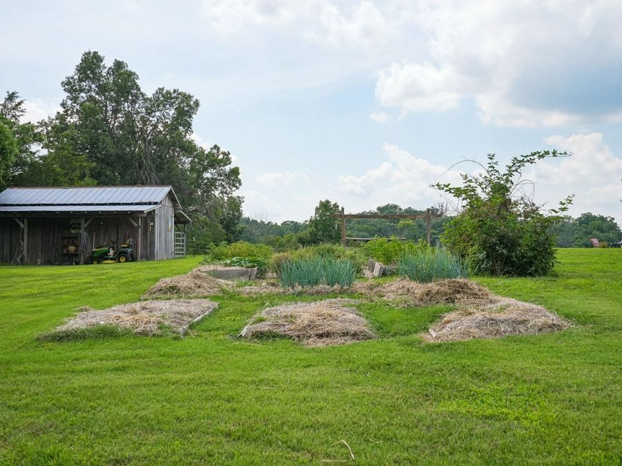 Property Image 62