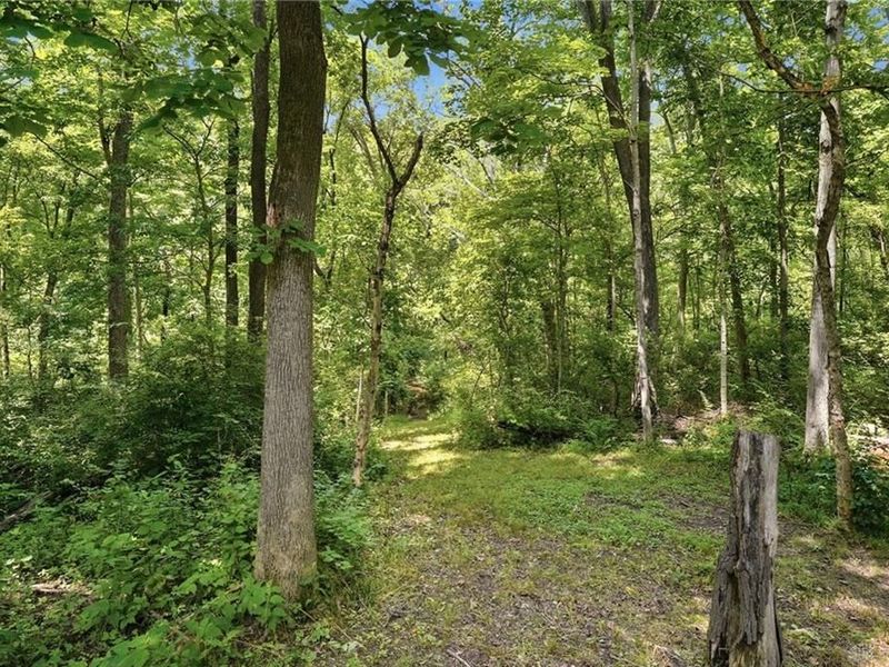 4455 Burnham Woods Drive, Franklin Township, OH 45005 Photo 68