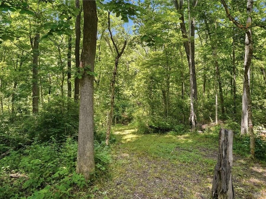 Property Image 69