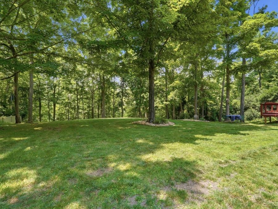 Property Image 66