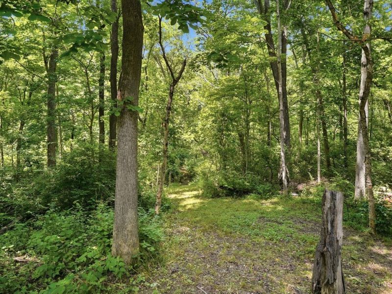 4455 Burnham Woods Drive, Middletown, OH 45005 Photo 68