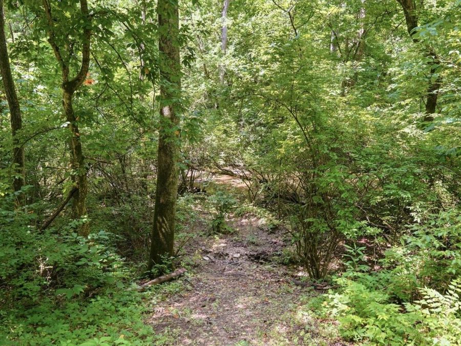Property Image 70