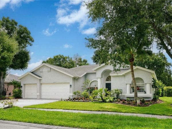16215 HOYLAKE DRIVE , ODESSA, FL 33556