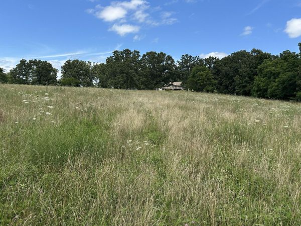 8000 Highway Jj , Mountain Grove, MO 65711