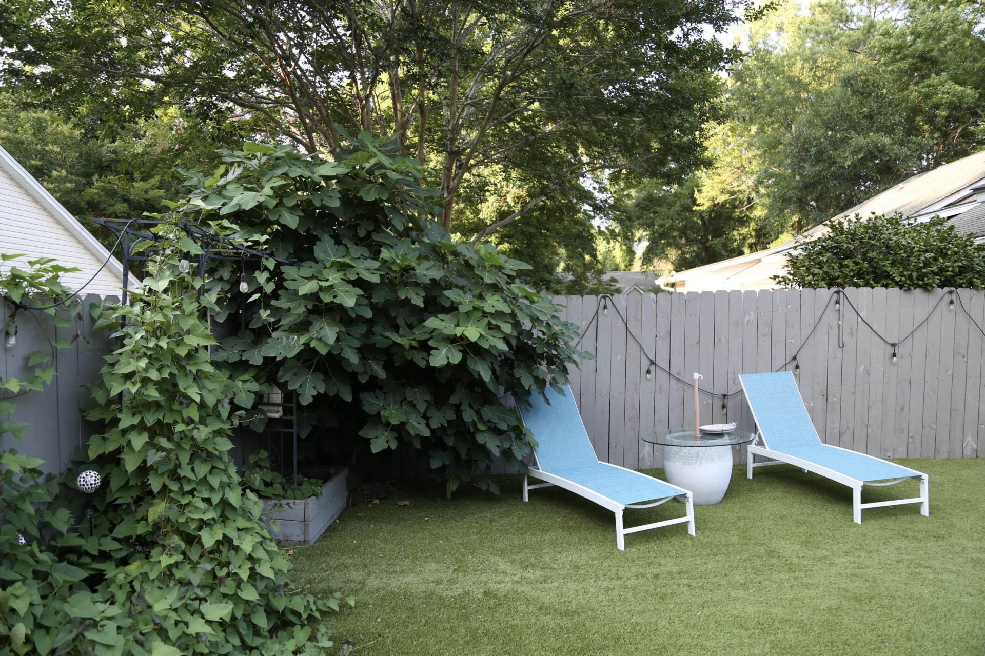 1329 Old Tabby Lane Photo 47