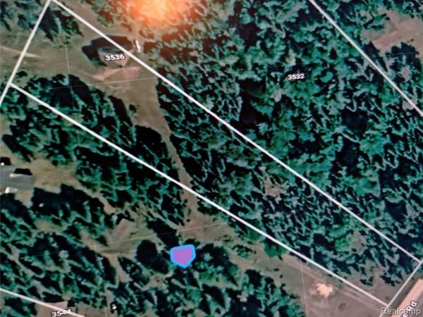3536 N Lakeshore Drive, Bois Blanc Twp, MI 49775