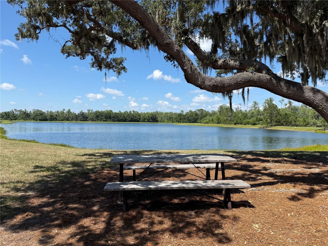 12200 Rangeland Boulevard , Odessa, FL 33556 Photo
