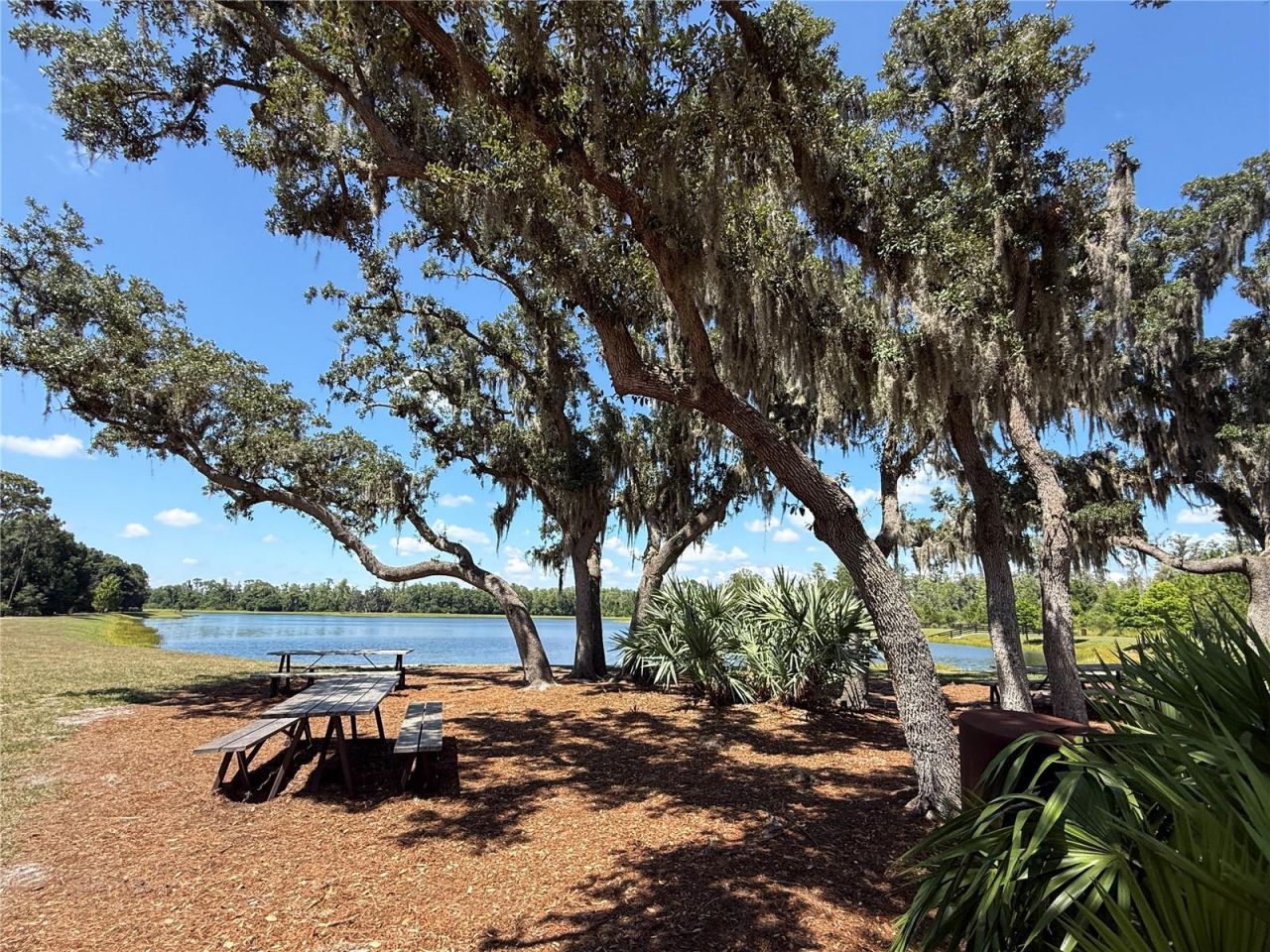 12200 Rangeland Boulevard , Odessa, FL 33556 Photo