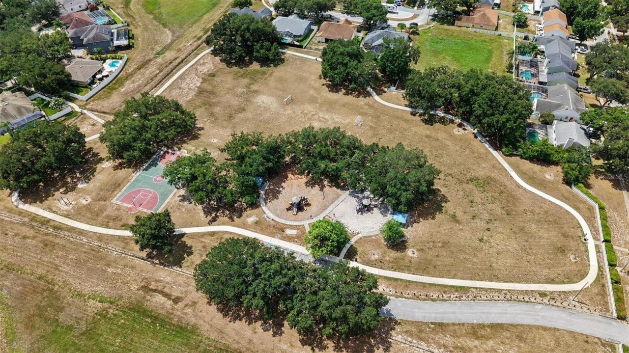 4227 Balington Drive , Valrico, FL 33596 Photo