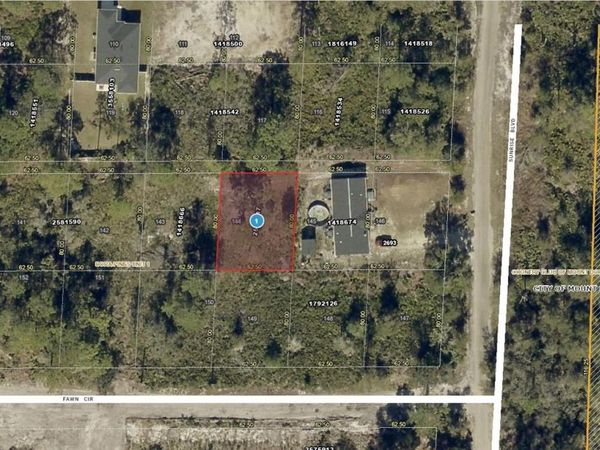 SUNRISE BOULEVARD , MOUNT DORA, FL 32757