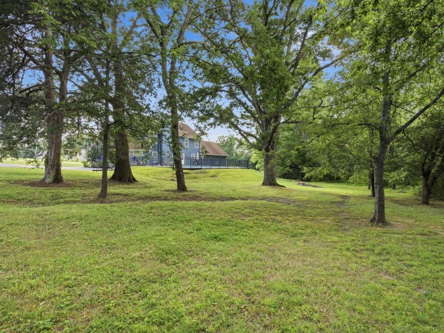 Property Image 51