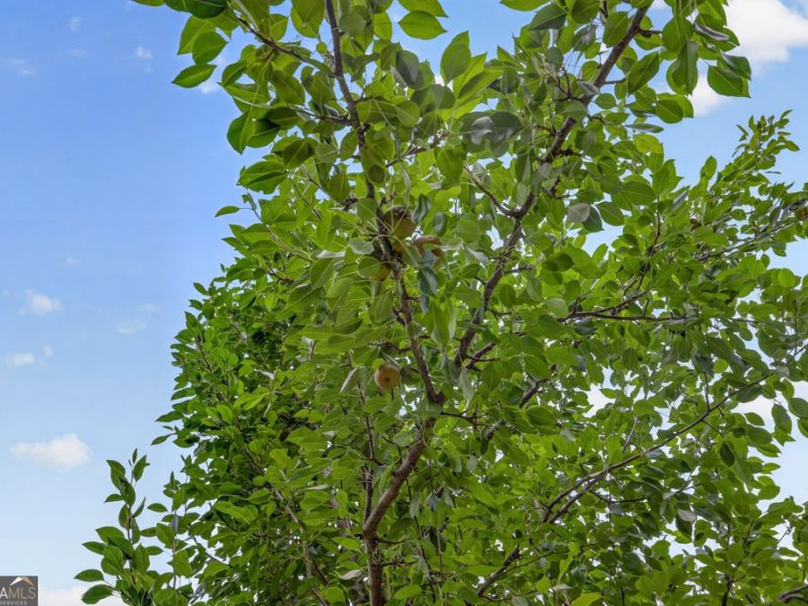 Property Image 101
