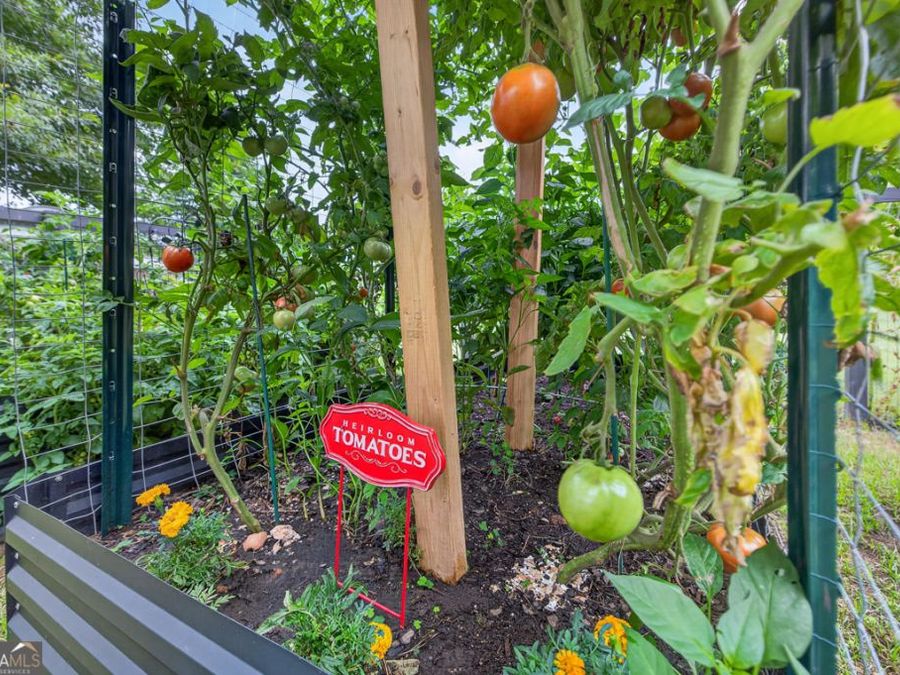 Property Image 85