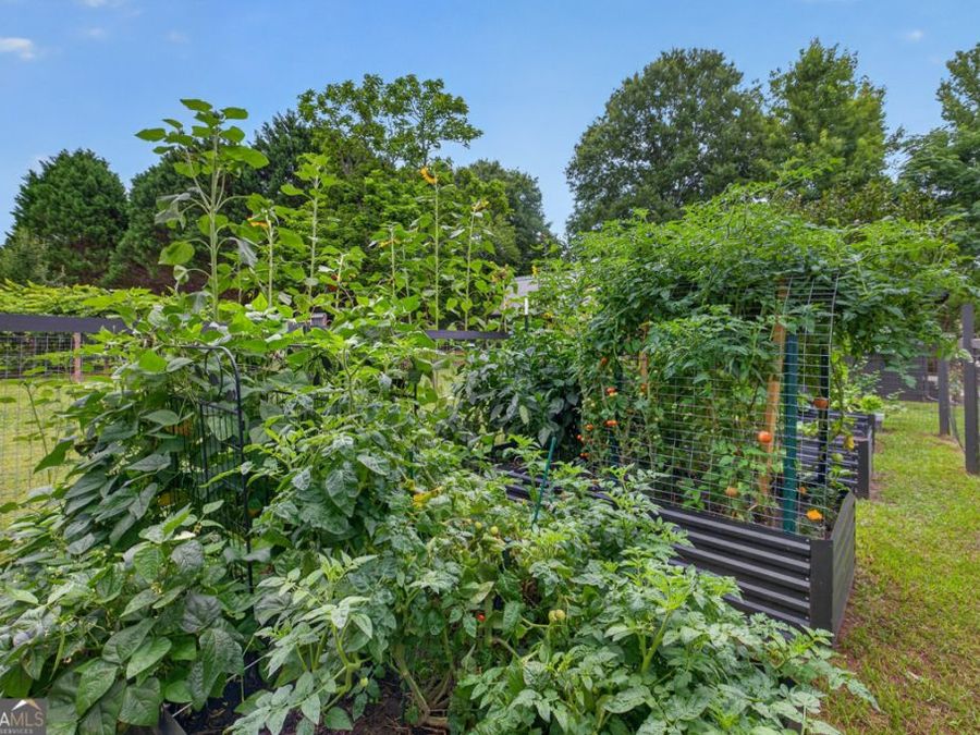 Property Image 86