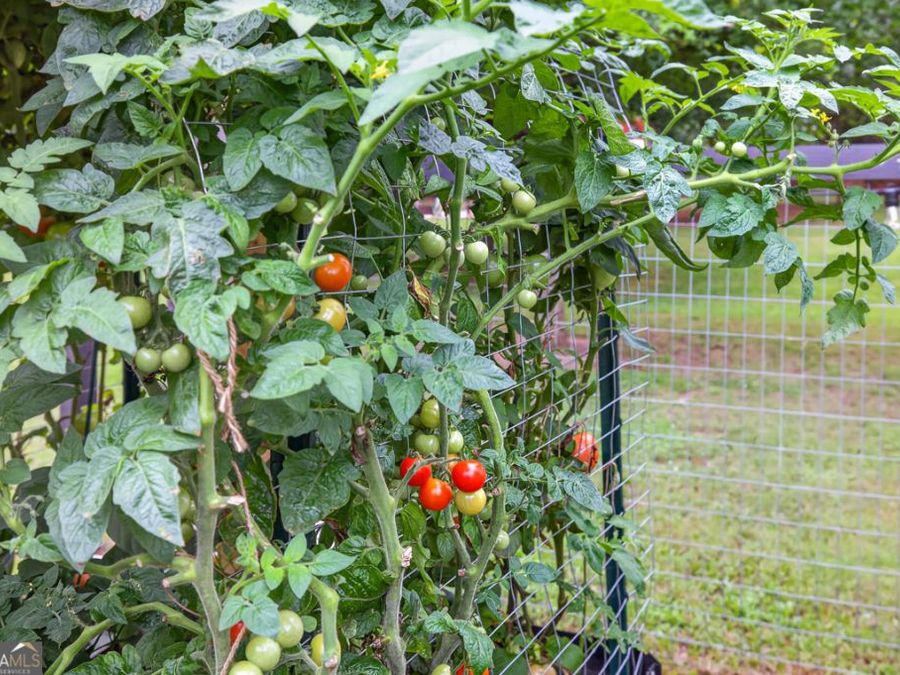 Property Image 87