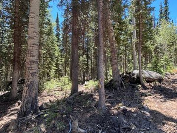 713 S PAINTBRUSH ST , Brian Head, UT 84719