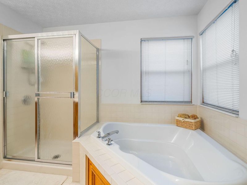 8910 SEDONA Court, Lewis Center, OH 43035 Photo 27