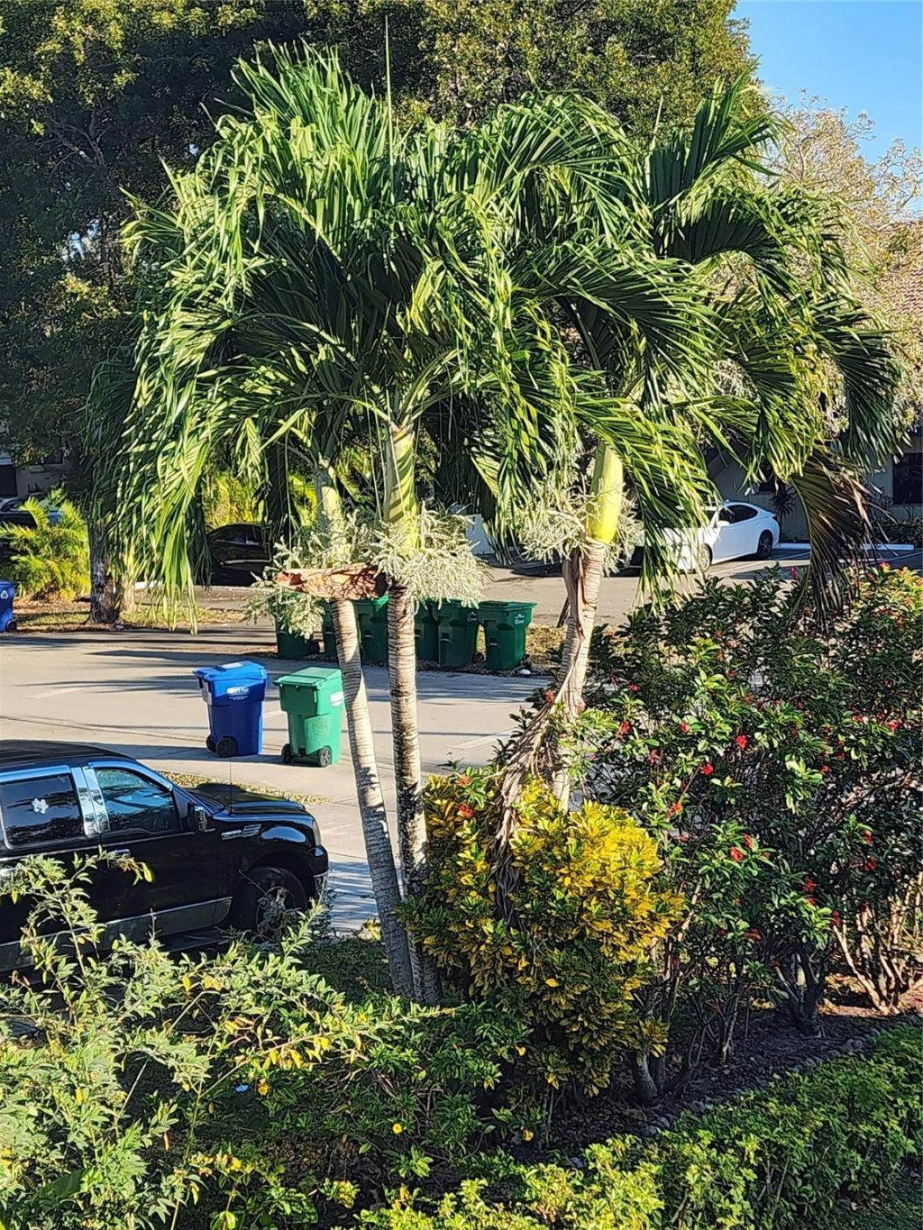 8705 NW 38th Drive, Unit 7b, Coral Springs, FL 33065 Photo