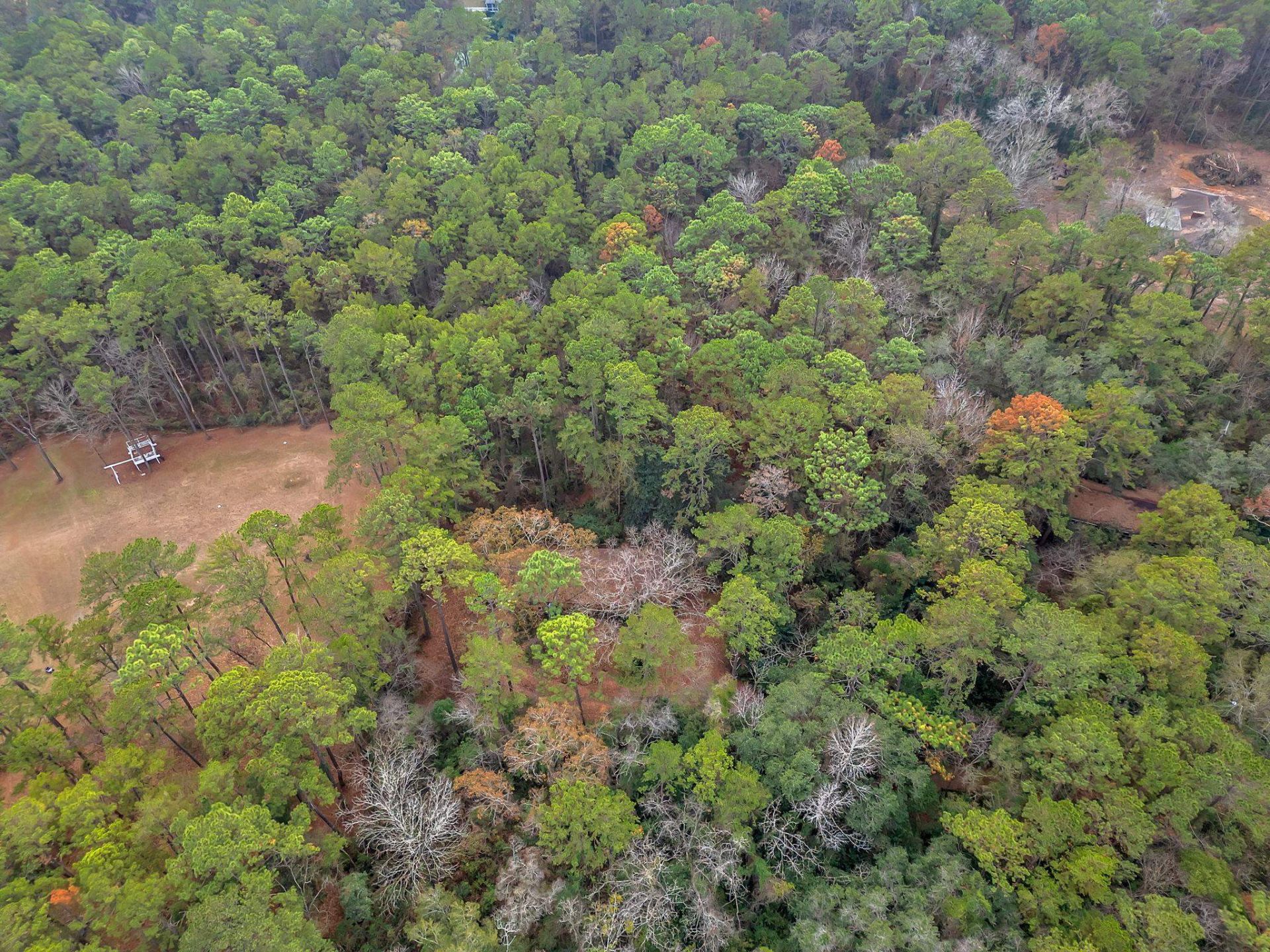 7091,7115+ Thomasville Road , Tallahassee, FL 32312 Photo