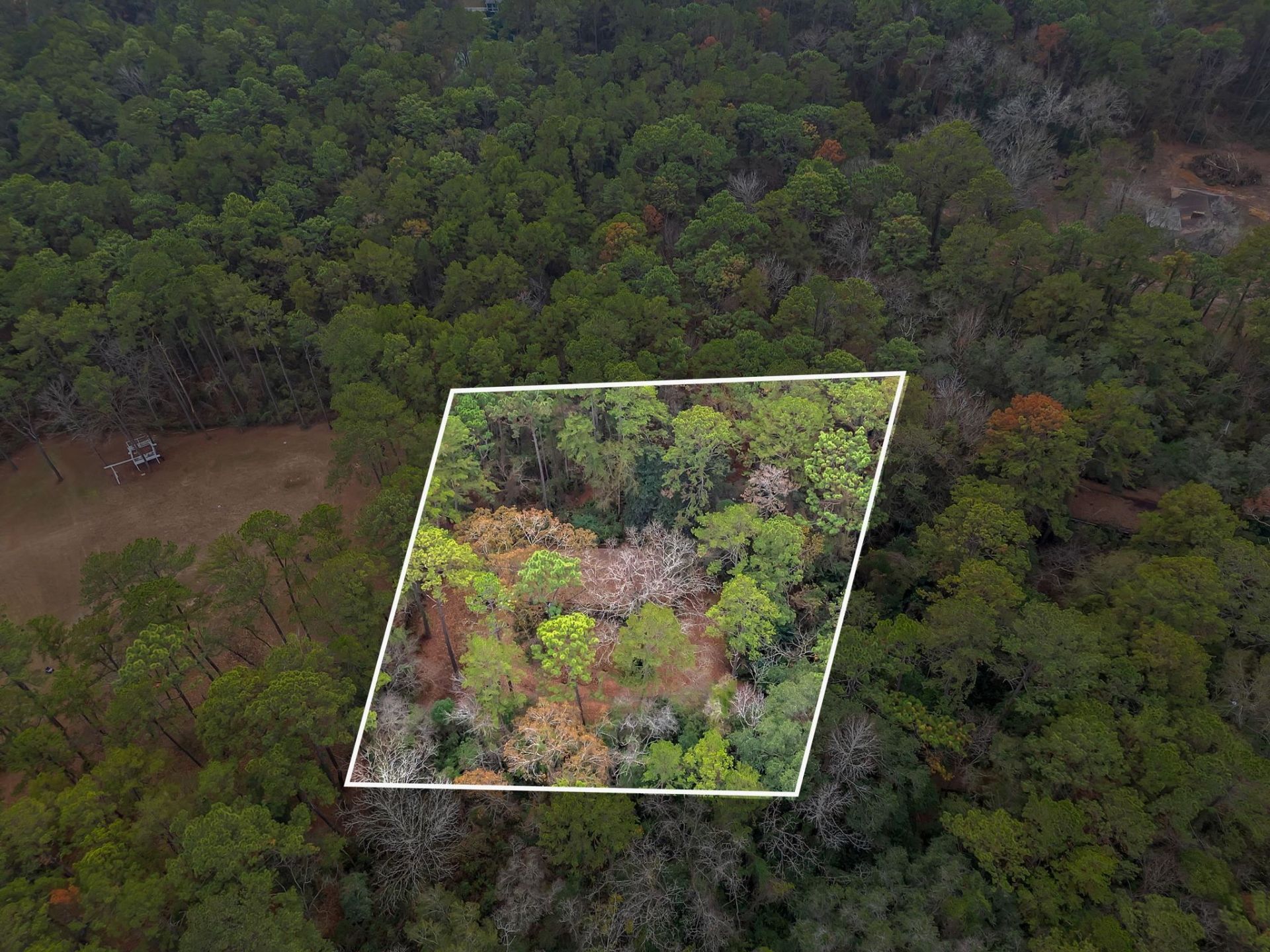 7091,7115+ Thomasville Road , Tallahassee, FL 32312 Photo