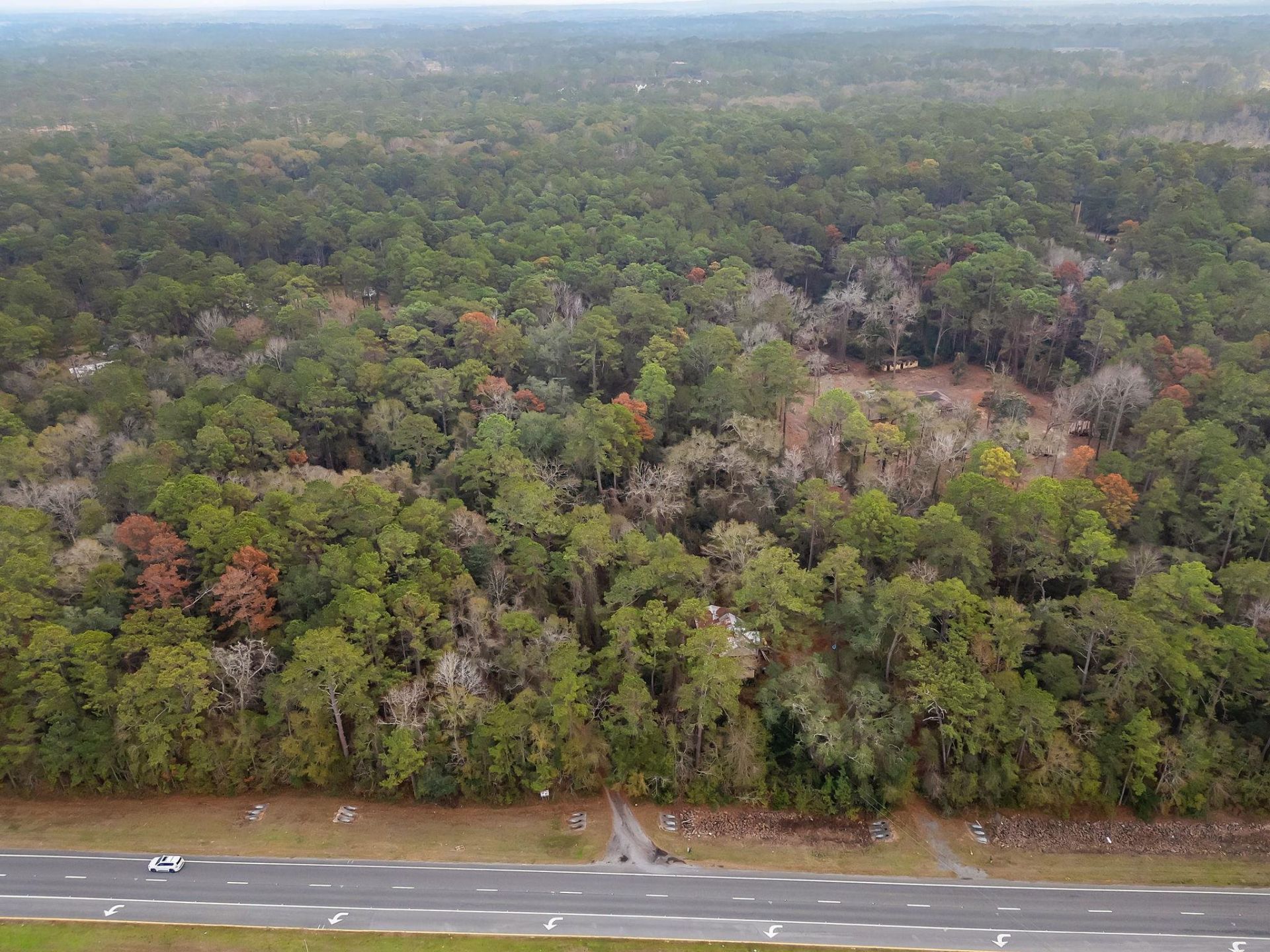 7091,7115+ Thomasville Road , Tallahassee, FL 32312 Photo