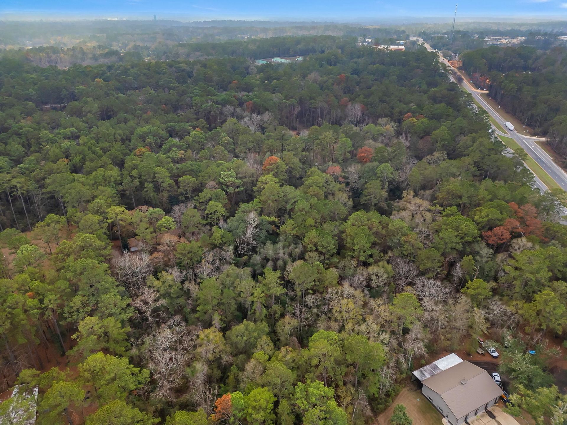 7091,7115+ Thomasville Road , Tallahassee, FL 32312 Photo